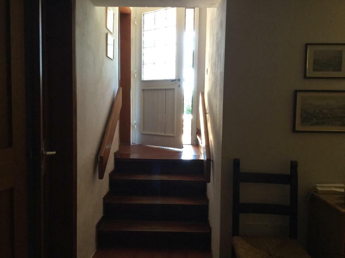 Apartamento Campo al Cerro Bolgheri Exterior foto